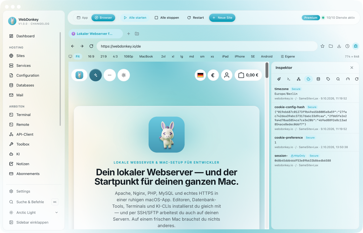 Inspektor mit Cookies-Tab und einer Tabelle der gesetzten Cookies