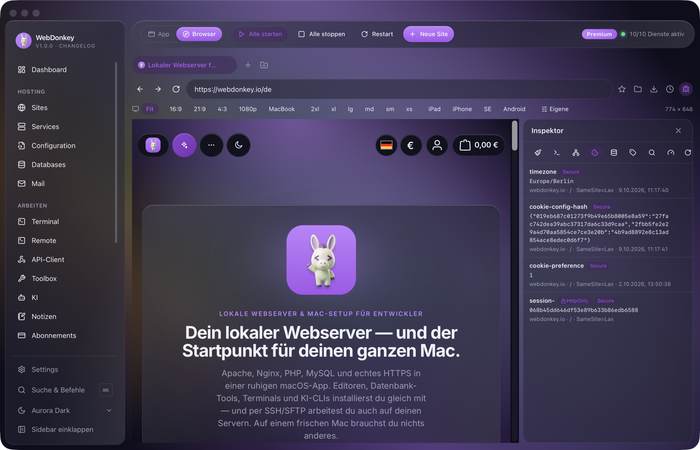 Inspektor mit Cookies-Tab und einer Tabelle der gesetzten Cookies