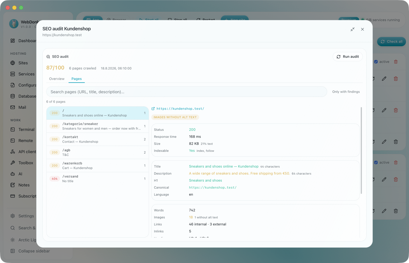 Pages tab of the SEO report with a table and the full values of a selected page
