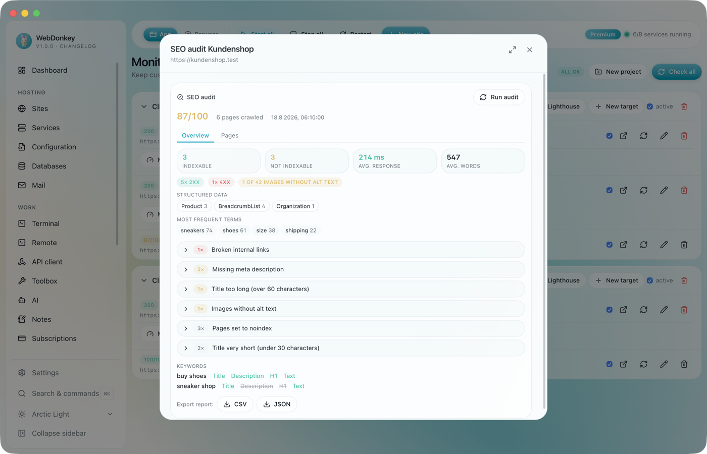 SEO report with score ring, key figures and a list of findings by severity