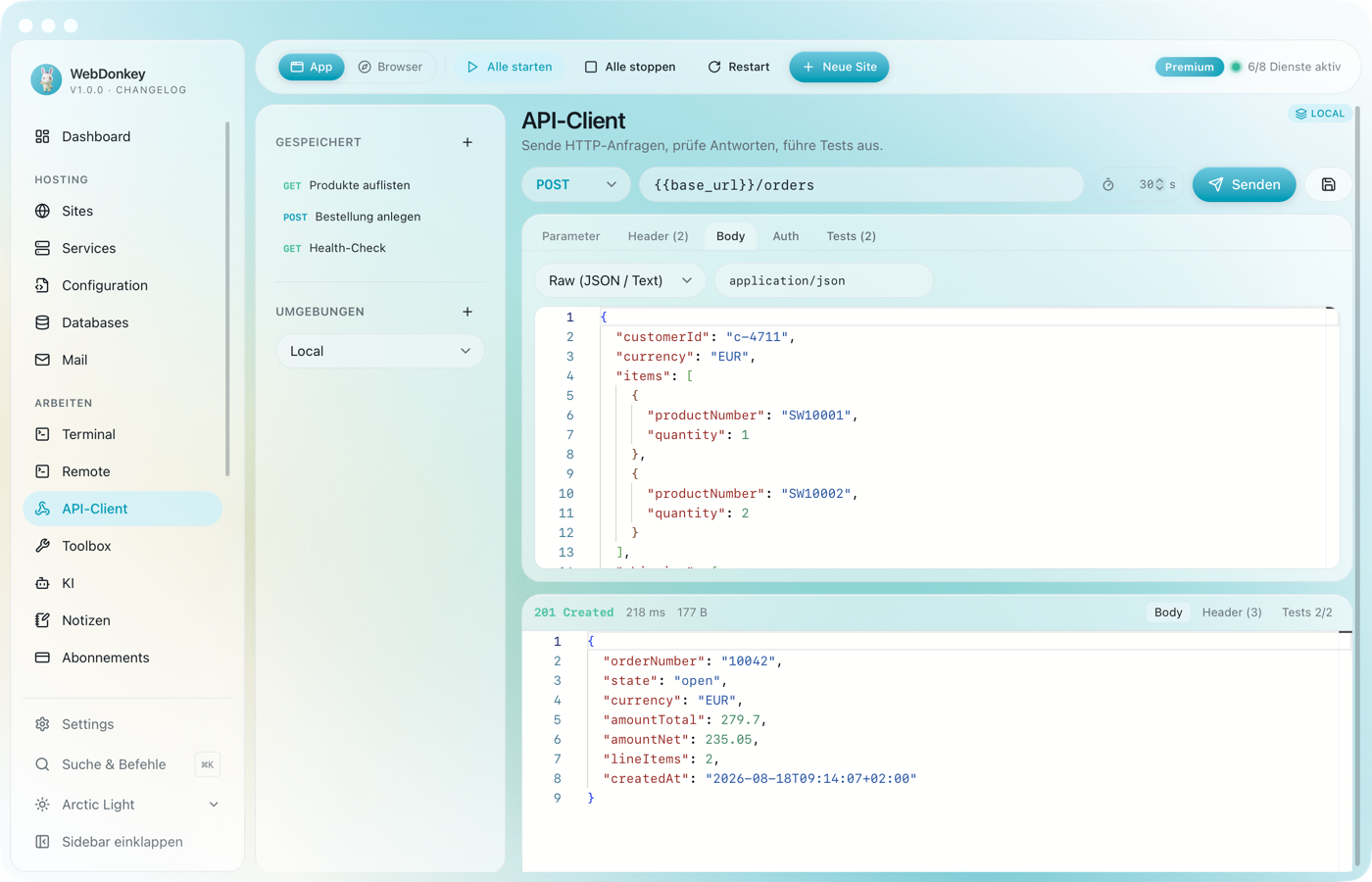 API-Client mit dem Body-Tab und einem JSON-Body für einen POST-Request