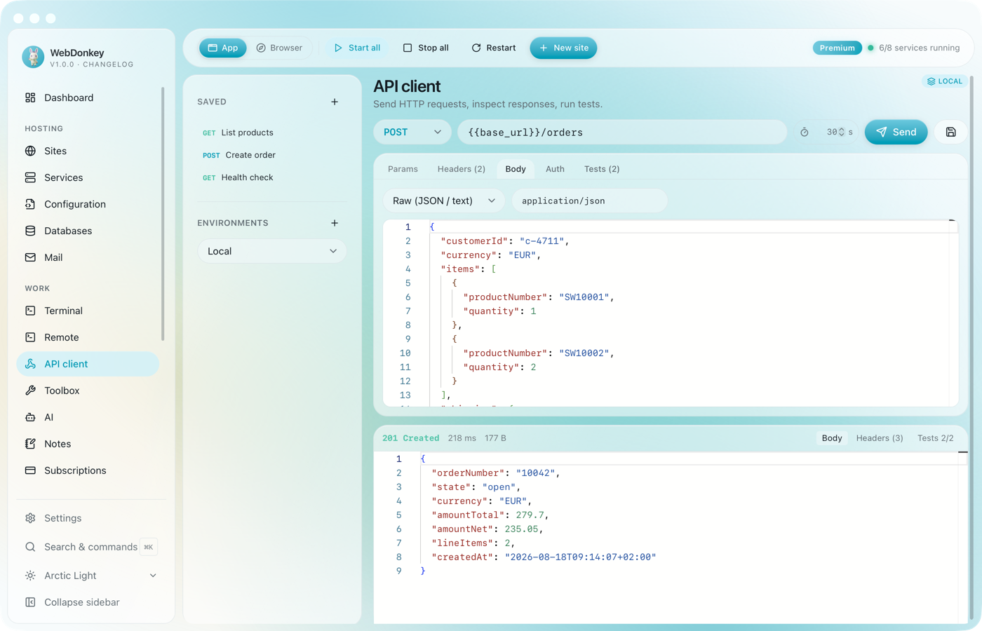 API client with the Body tab and a JSON body for a POST request