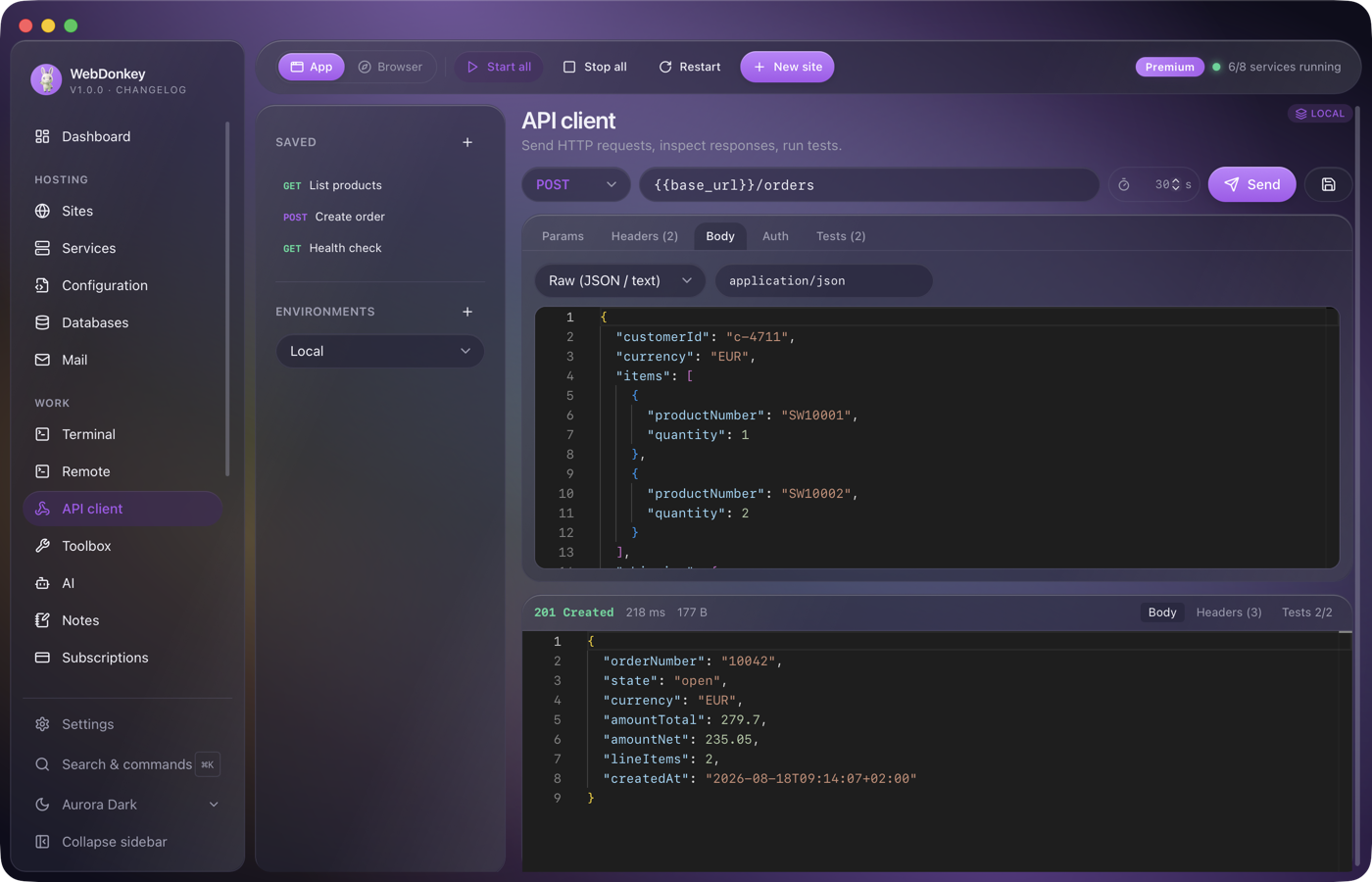 API client with the Body tab and a JSON body for a POST request