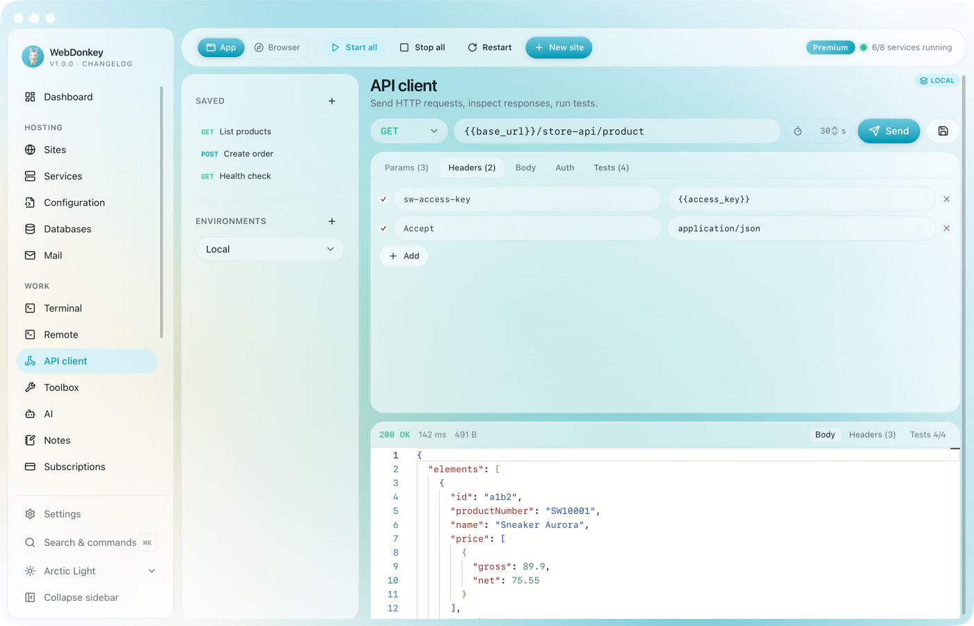 API client on the Headers tab with two headers set