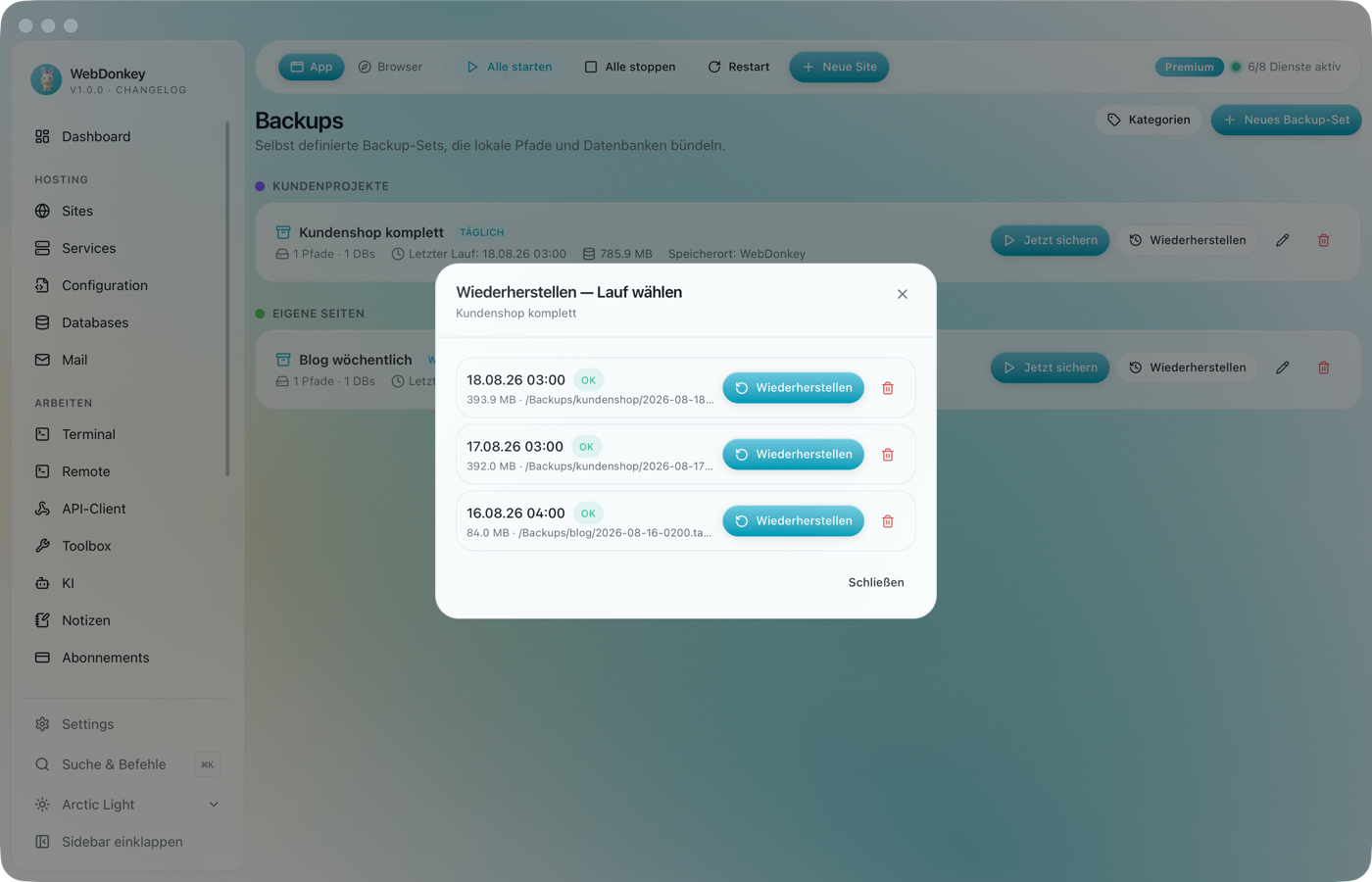 Backup-Set mit der Liste seiner Laeufe, Groesse und Status