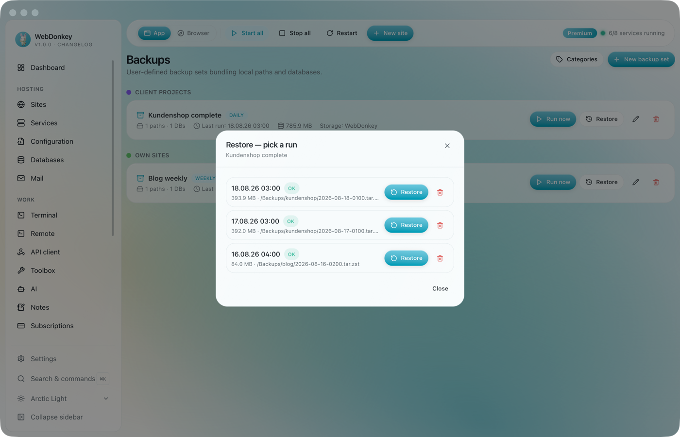 A backup set with the list of its runs, size and status