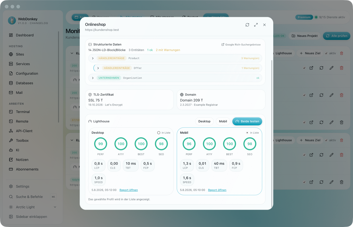 Lighthouse-Bericht mit Score-Ringen und Web Vitals