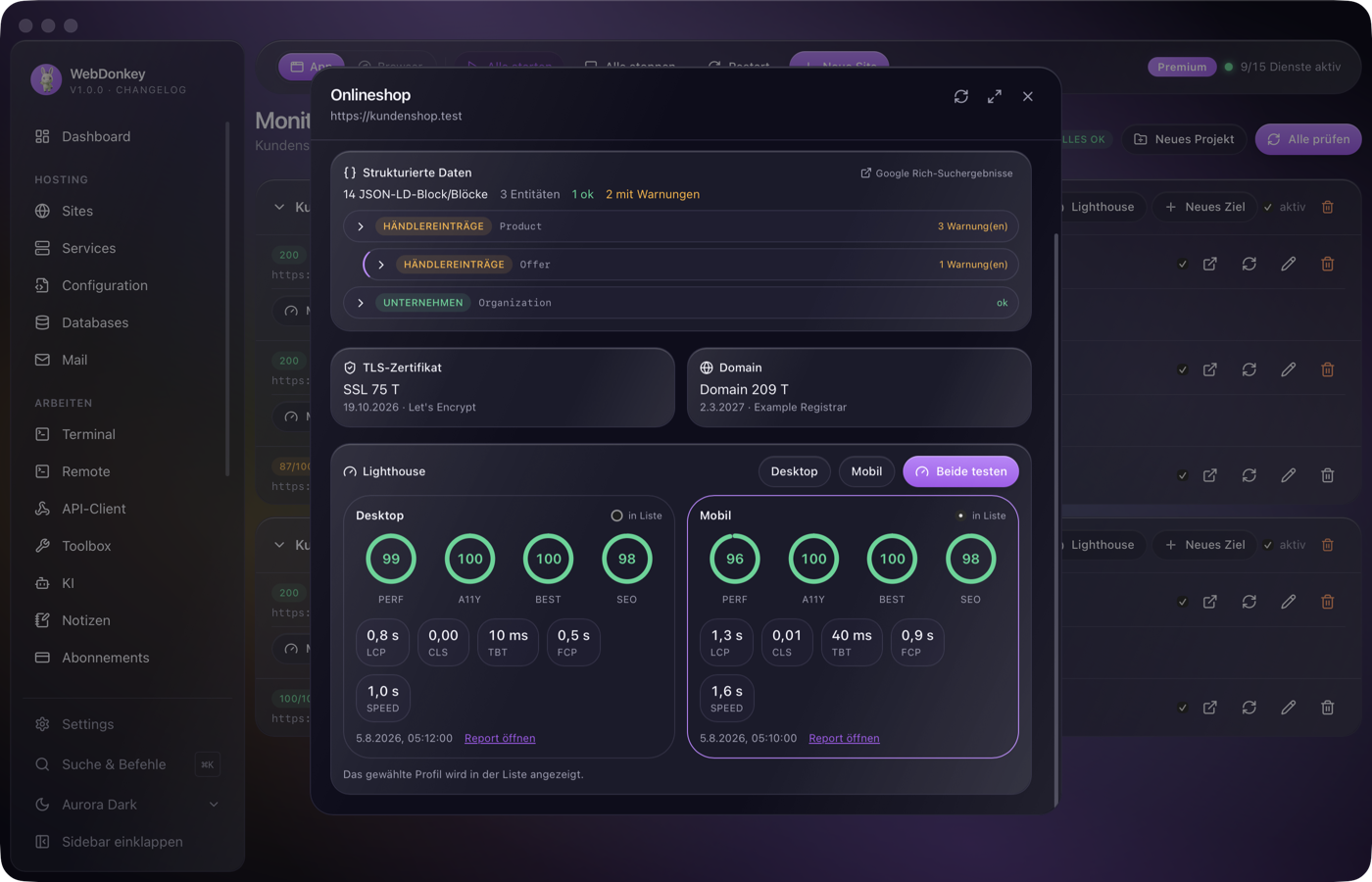 Lighthouse-Bericht mit Score-Ringen und Web Vitals
