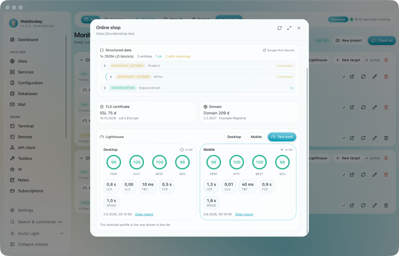 Lighthouse report with score rings and Web Vitals