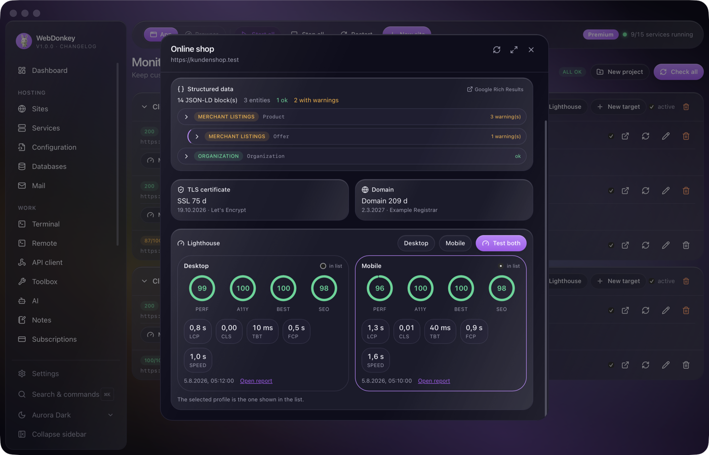 Lighthouse report with score rings and Web Vitals