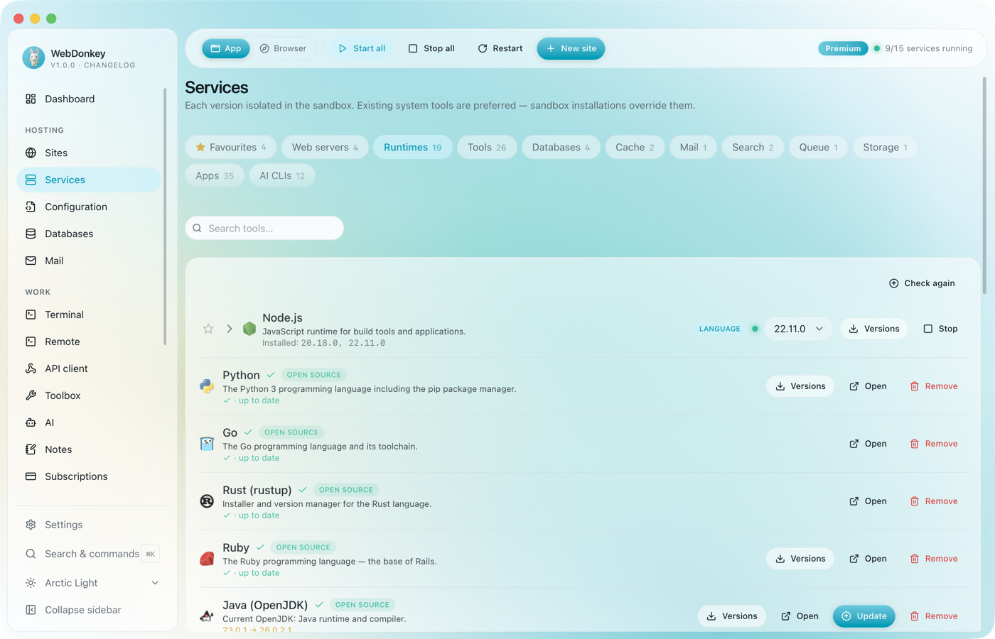 Services page with the Runtimes tab, PHP and Node in several versions below