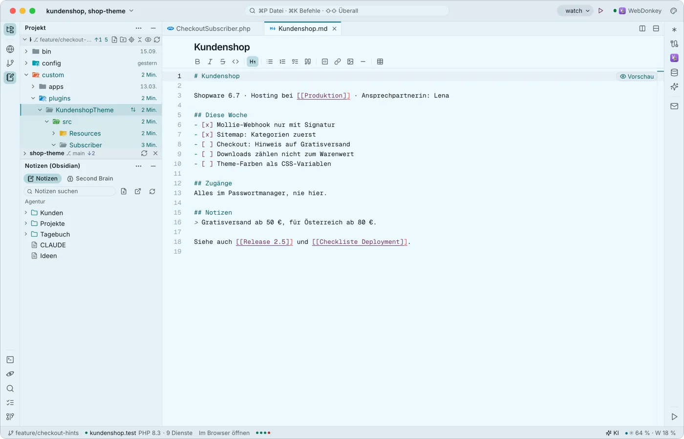 Notizen aus Obsidian neben dem Code