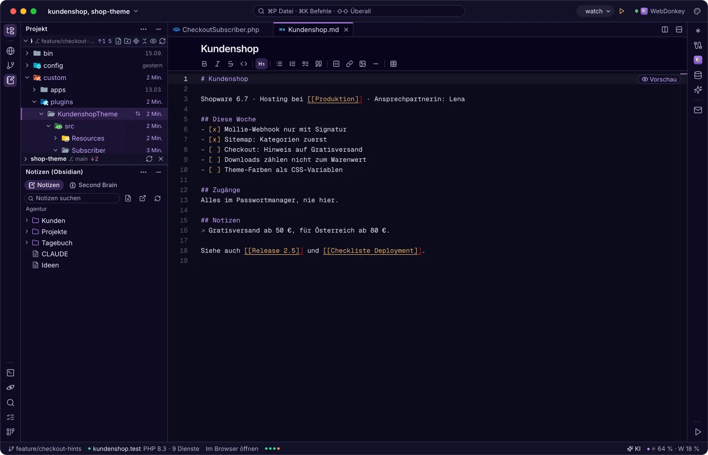 Notizen aus Obsidian neben dem Code