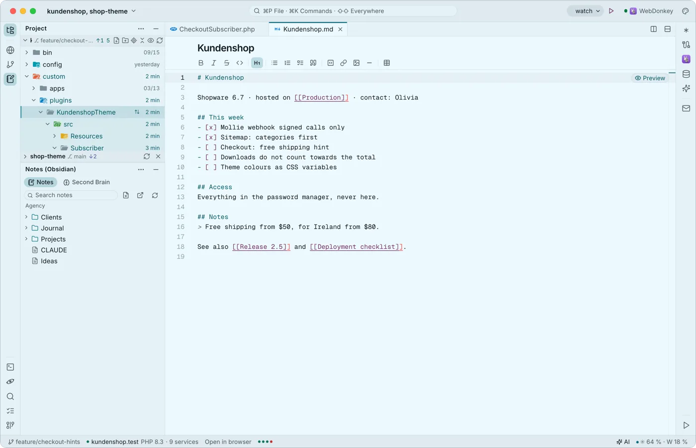 Notes from Obsidian next to the code