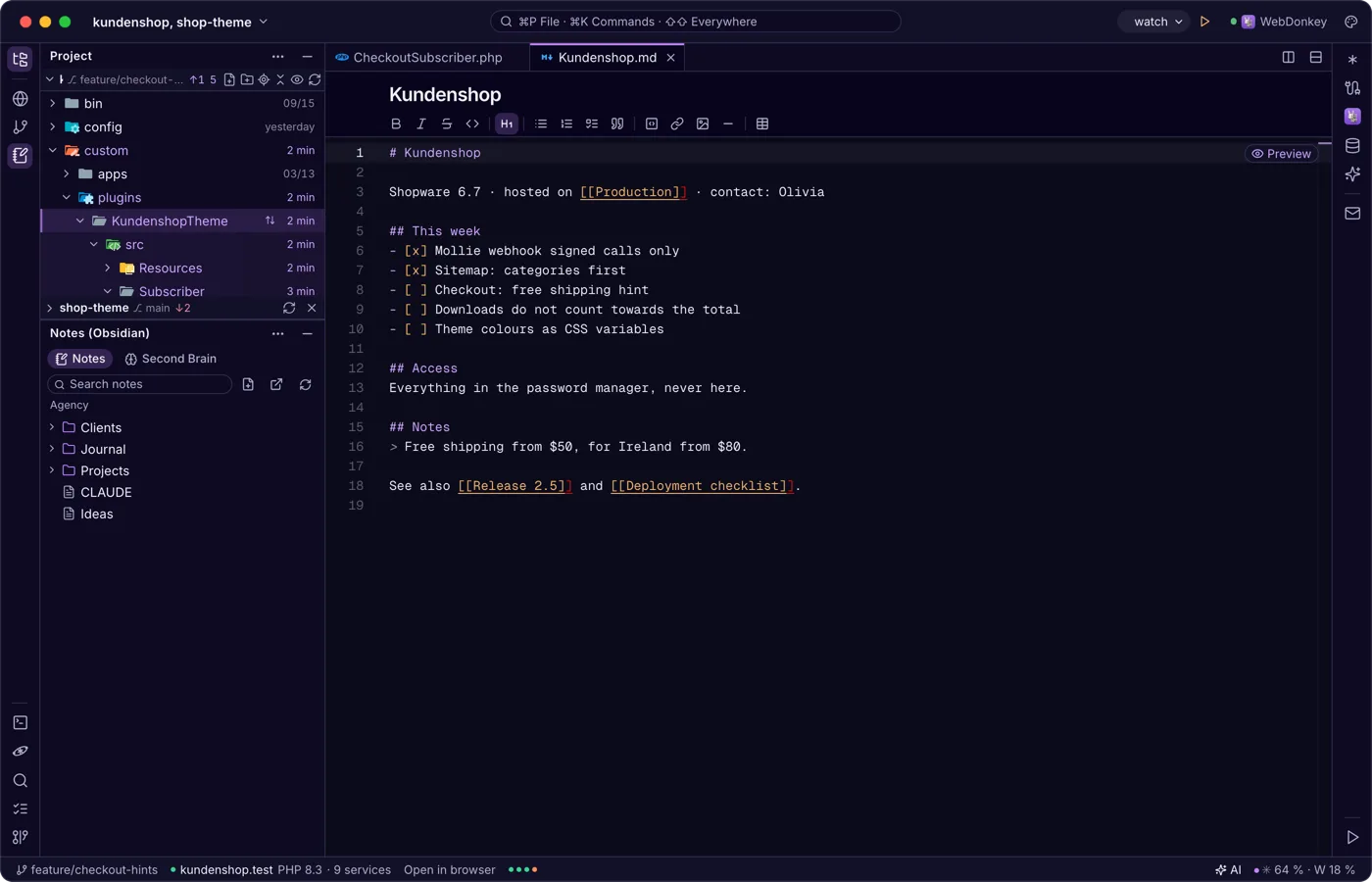 Notes from Obsidian next to the code